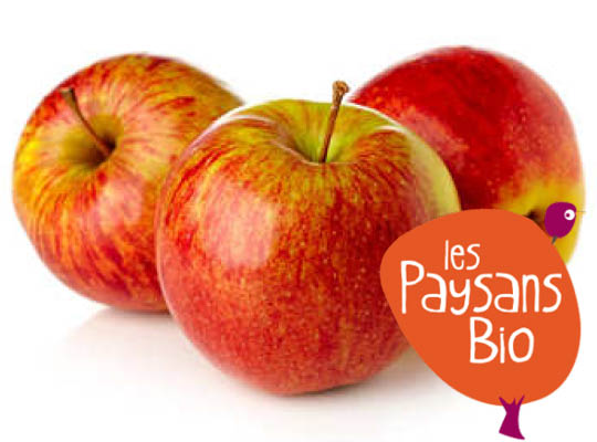 Les Paysans Bio Organic Elstar Apple -500g