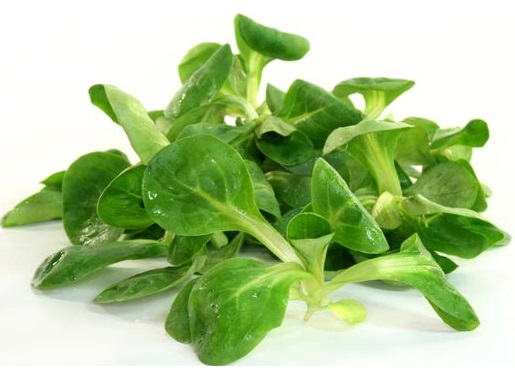 Bio Rungis Salade de mâche BIO 100g
