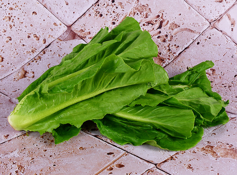 ZenXin Laitue romaine BIO 220g